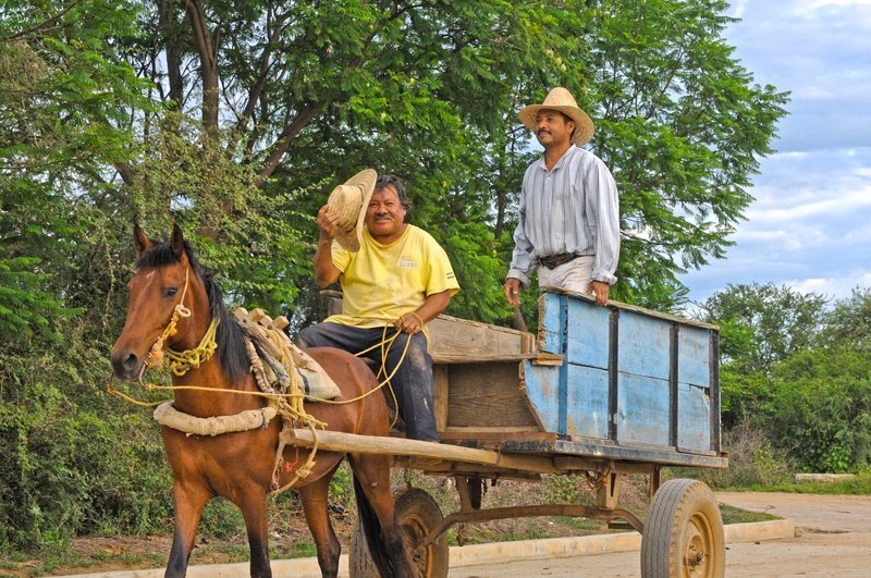 Oaxaca%20%28Zegache%29%20-%20day%2018%20035.jpg